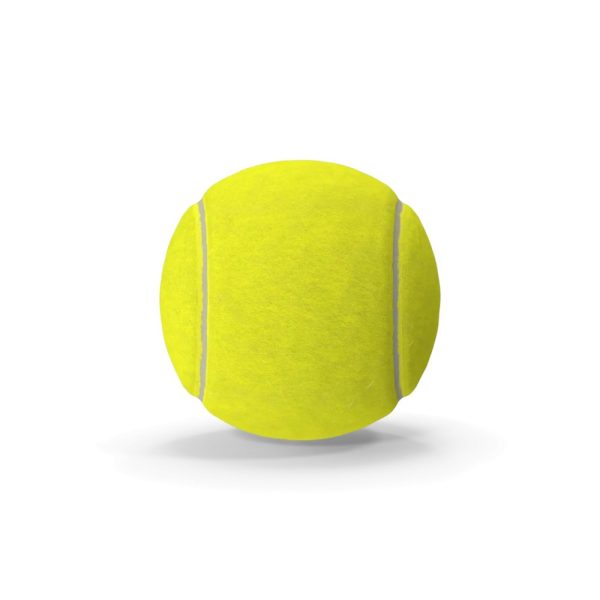 Balles de tennis (tube de 4)