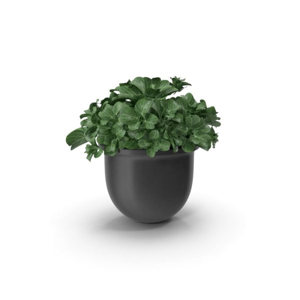 Cache-pot en céramique